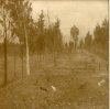 1918 ca. -Campagna lucchese